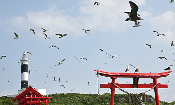 弁天神社の本殿に